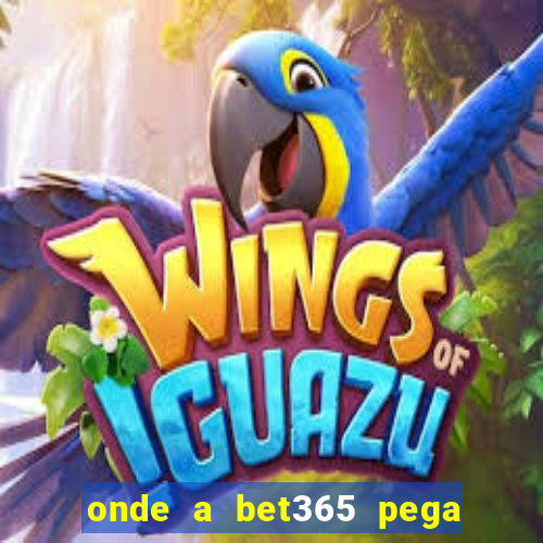 onde a bet365 pega as estatisticas